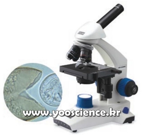 생물 현미경OSH-MFL 시리즈(OSH-1500MFL)