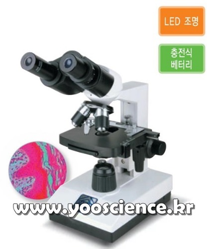 생물 쌍안 현미경 PAR-B 시리즈(교육용 보급형)-PAR-B1500