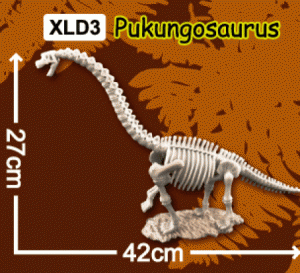 한반도공룡뼈발굴(특대형)-부경고사우루스