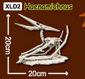 한반도공룡뼈발굴(특대형)-해남이쿠스