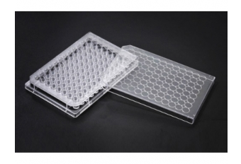 96 Well Cell Culture Plates (SPL)