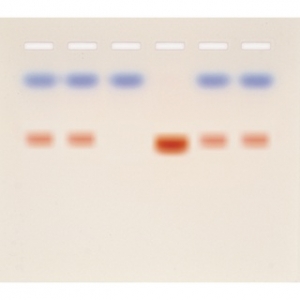 PCR의효과학습