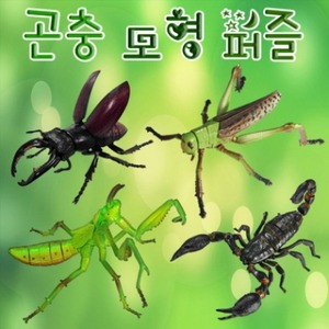 곤충모형 퍼즐(전갈)
