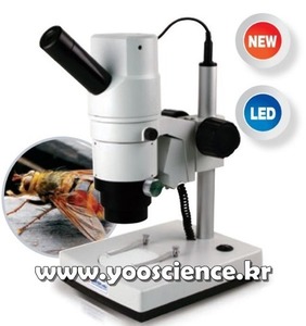 멀티영상 현미경(실체PC용) (MST-PCL2100A)