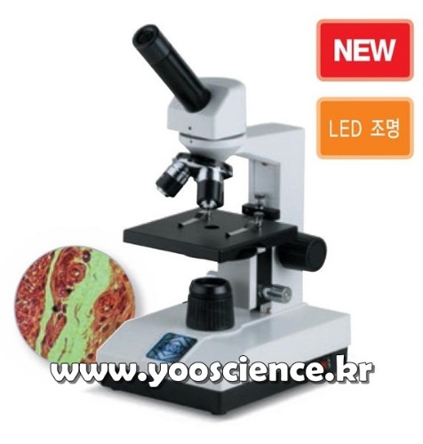 보급형 생물 단안 현미경(PAR-L 시리즈) (PAR-L600)