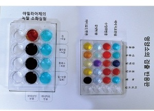 영양소검출반응실험키트+침(아밀라아제)의소화
