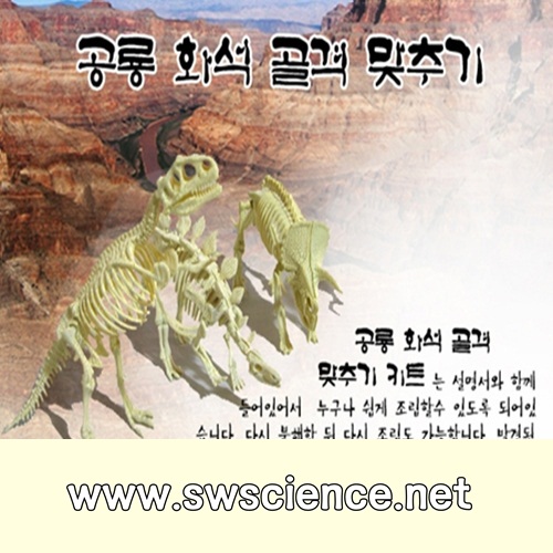 4-2/72p 공룡화석골격맞추기-PVC제질