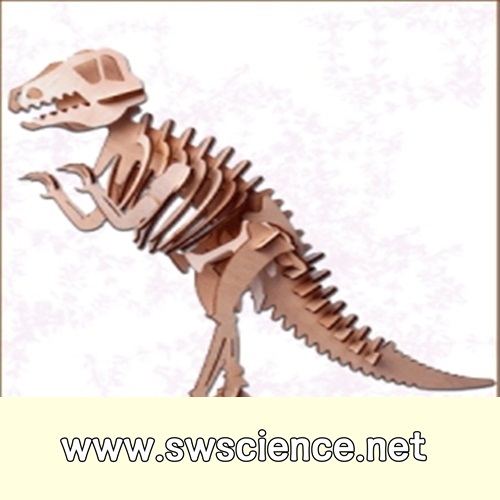 티라노사우루스(공룡)